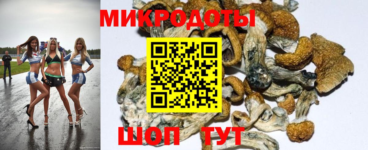 Галлюциногенные грибы GOLDEN TEACHER Вязники
