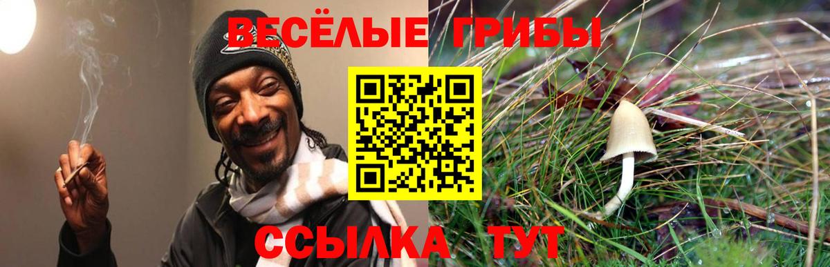 Псилоцибиновые грибы прущие грибы  наркотики  Вязники  Вход с VPN  Галлюциногенные грибы GOLDEN TEACHER 